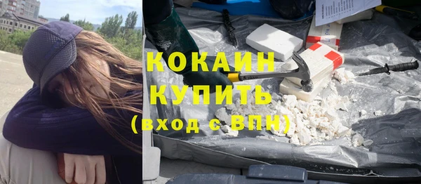 крисы Баксан