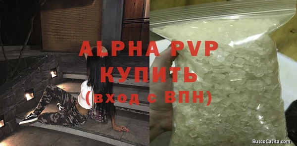 крисы Баксан