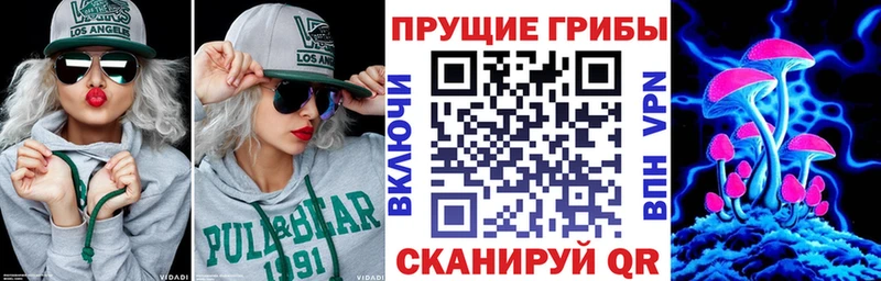 Галлюциногенные грибы GOLDEN TEACHER Новосокольники